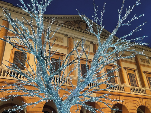 Foto di Albero della Vita